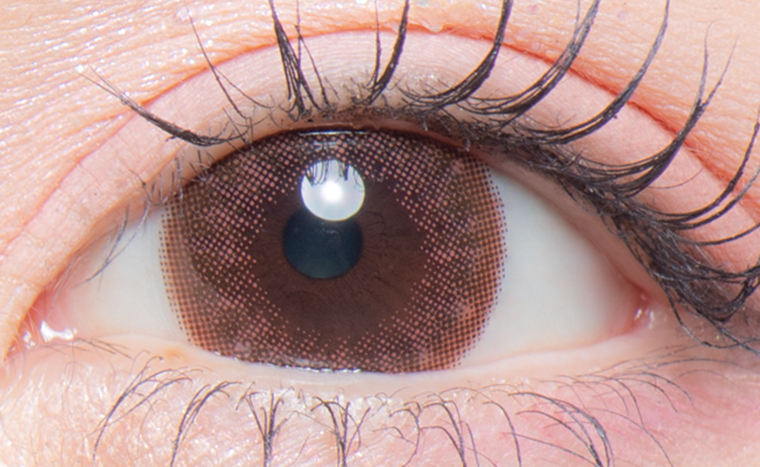 colors 1day ナチュラルウォームブラウン