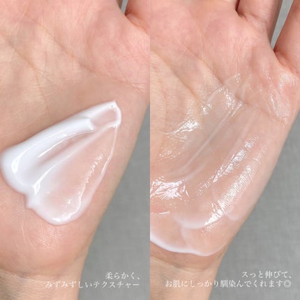 セラミドファミリークリーム/favs/ボディクリームを使ったクチコミ(2枚目)