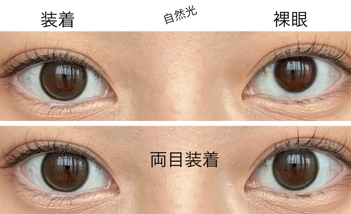 エバーカラーワンデーミリモア/エバーカラー/ワンデー(1DAY)カラコンを使ったクチコミ(2枚目)