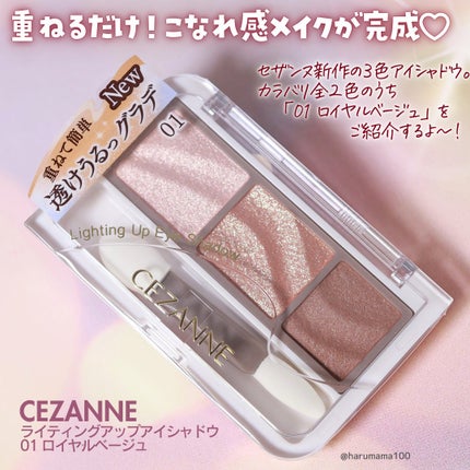 ライティングアップアイシャドウ/CEZANNE/アイシャドウを使ったクチコミ(2枚目)