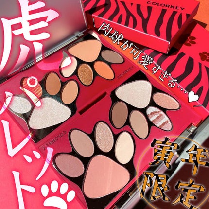 トラ十色アイシャドウパレット/COLORKEY/アイシャドウパレットを使ったクチコミ(1枚目)
