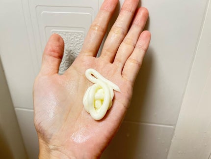 アルガン ヘアシャンプー/ヘアコンディショナー/WELEDA/市販シャンプーを使ったクチコミ(7枚目)