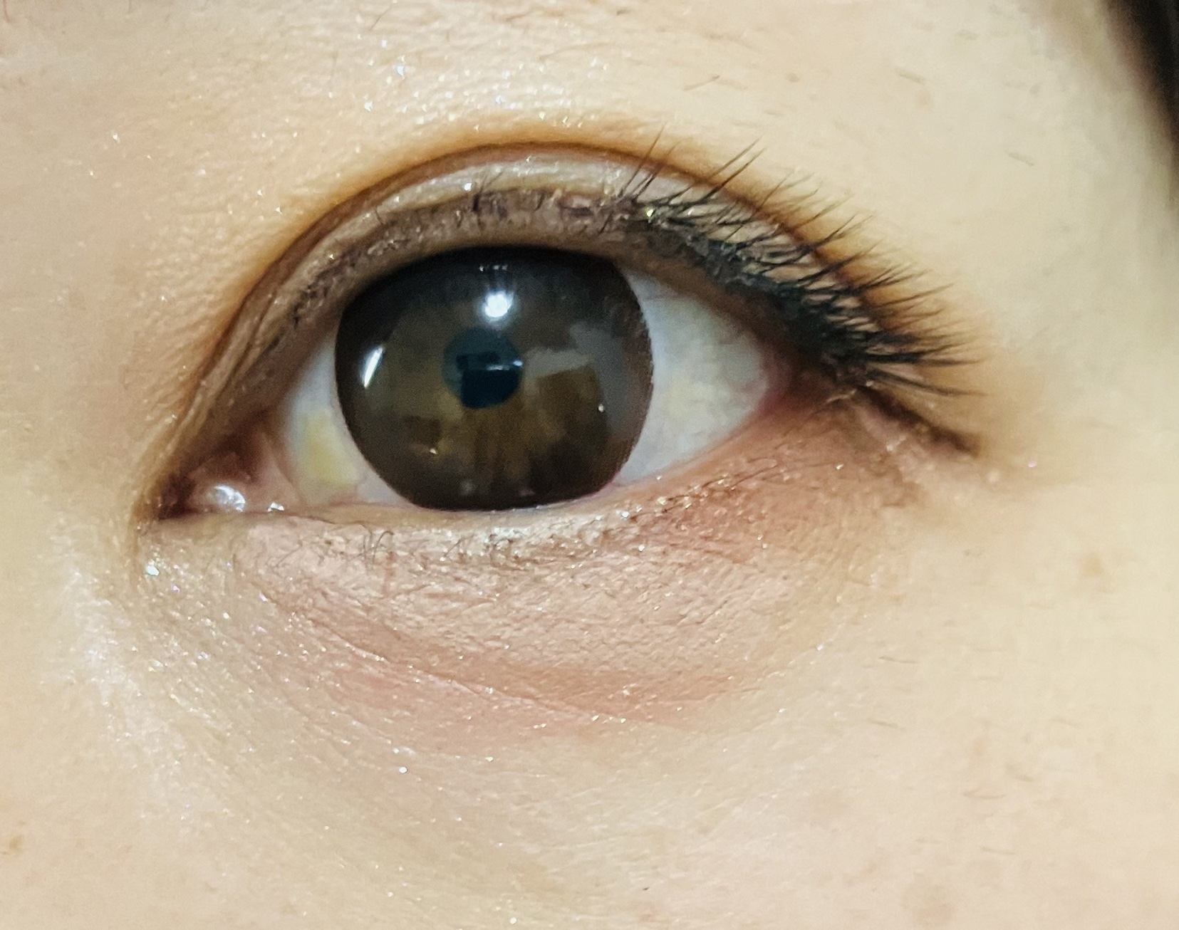 トーン ペタル アイシャドウ 02:オレンジ/to/one/アイシャドウパレットを使ったクチコミ（3枚目）