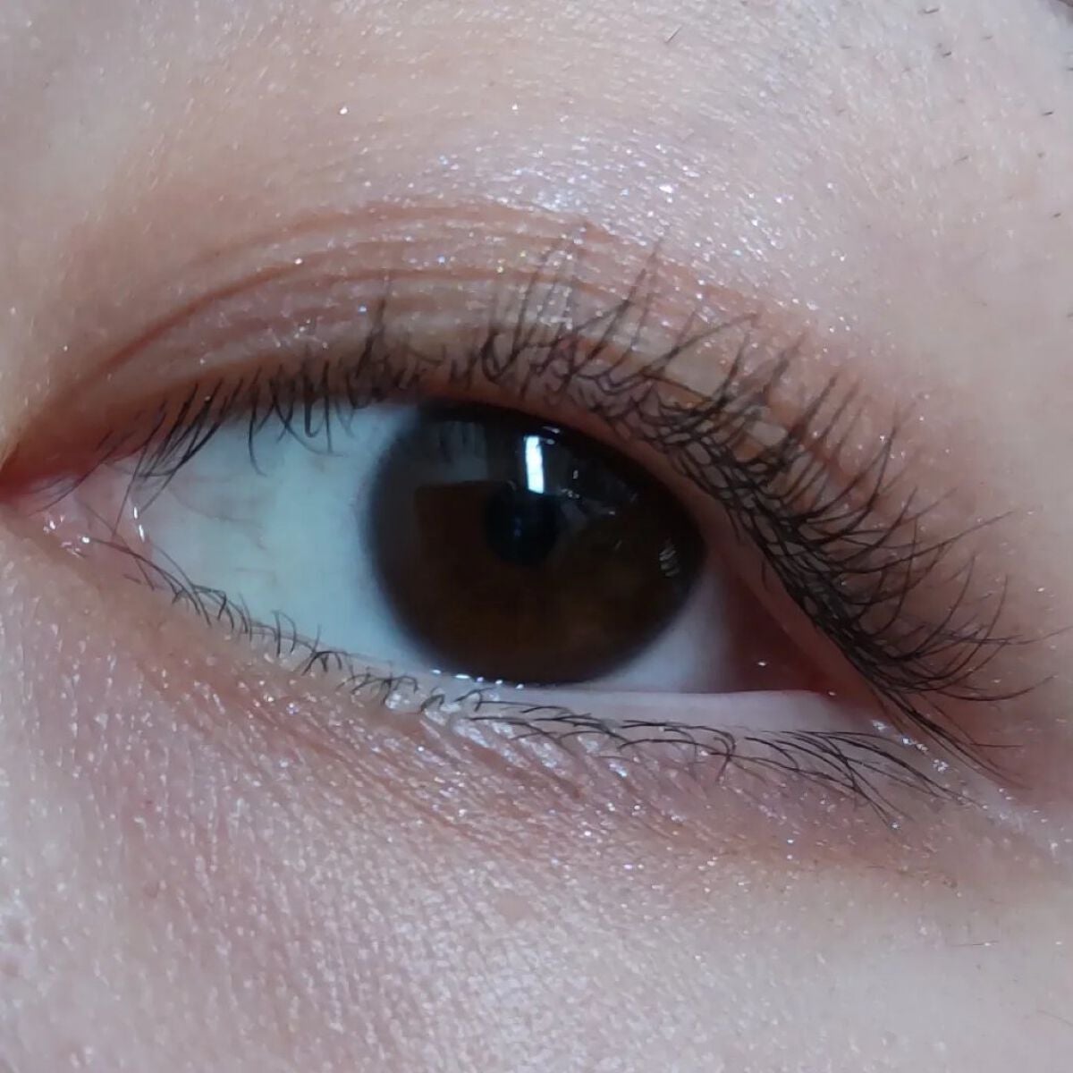 ベルベットフルアイズ/LUNASOL/アイシャドウパレットを使ったクチコミ(3枚目)