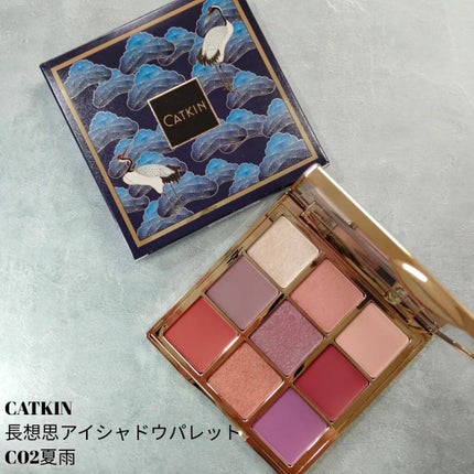 長相思シリーズ 9色アイシャドウパレット C02 夏の雨/CATKIN/アイシャドウパレットの画像