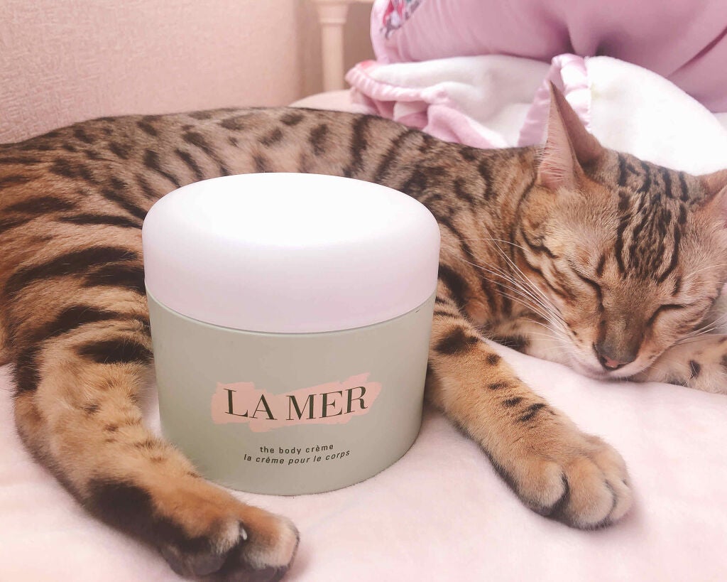 ザ・ボディ クレーム/LA MER/ボディクリームを使ったクチコミ(1枚目)