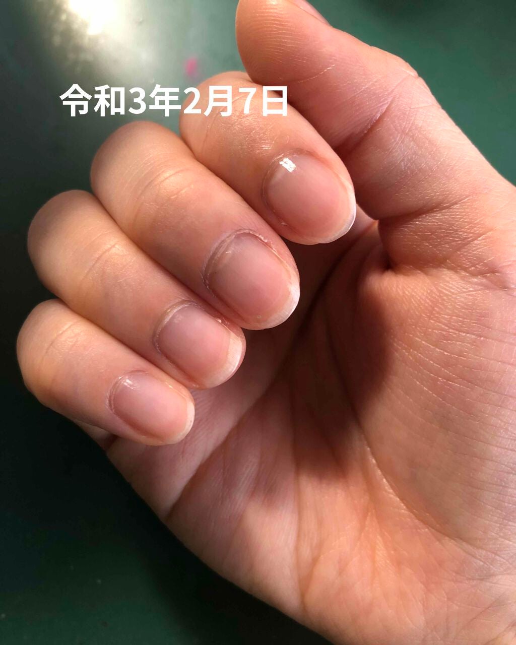 初心者ふーー on LIPS 「※令和3年10月10日追記【自分用メモ】ハイポキニウム育成チャ..」(3枚目)