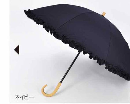 サンバリア100/サンバリア100/日傘を使ったクチコミ(4枚目)