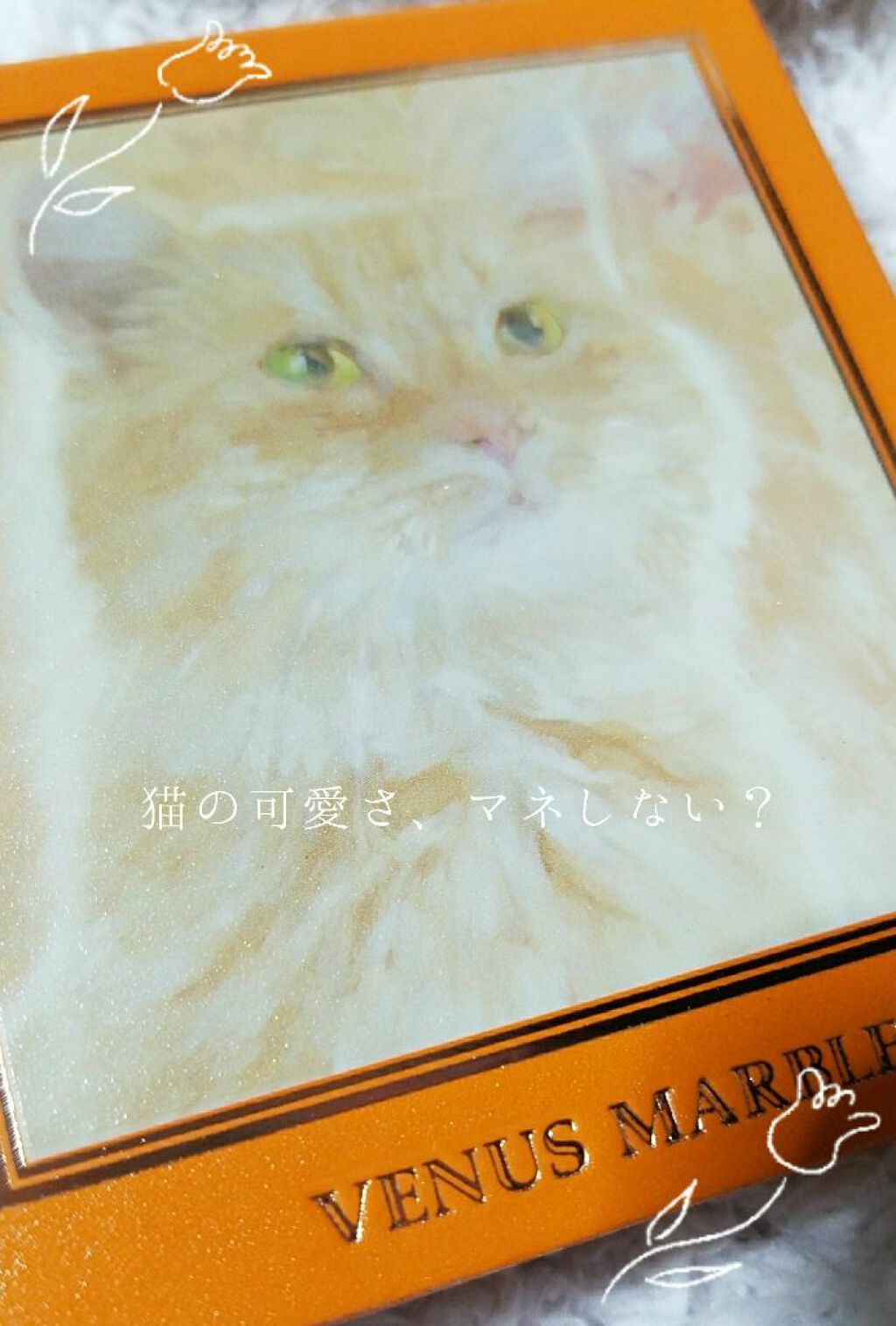 Venus Marble アイシャドウキャットシリーズ 茶トラ猫/Venus Marble/アイシャドウパレットを使ったクチコミ（1枚目）