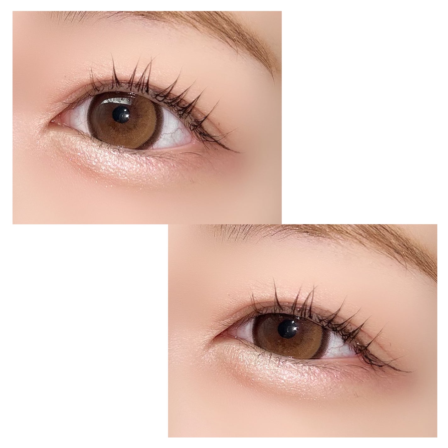 プランぷくコーデアイズ/キャンメイク/パウダーアイシャドウを使ったクチコミ(5枚目)