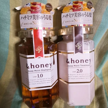 ディープモイスト シャンプー1.0／ヘアトリートメント2.0/&honey/シャンプー・コンディショナーを使ったクチコミ（1枚目）