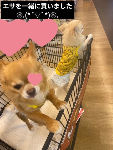 シルクアイスパウダー/b idol/ルースパウダーを使ったクチコミ(8枚目)