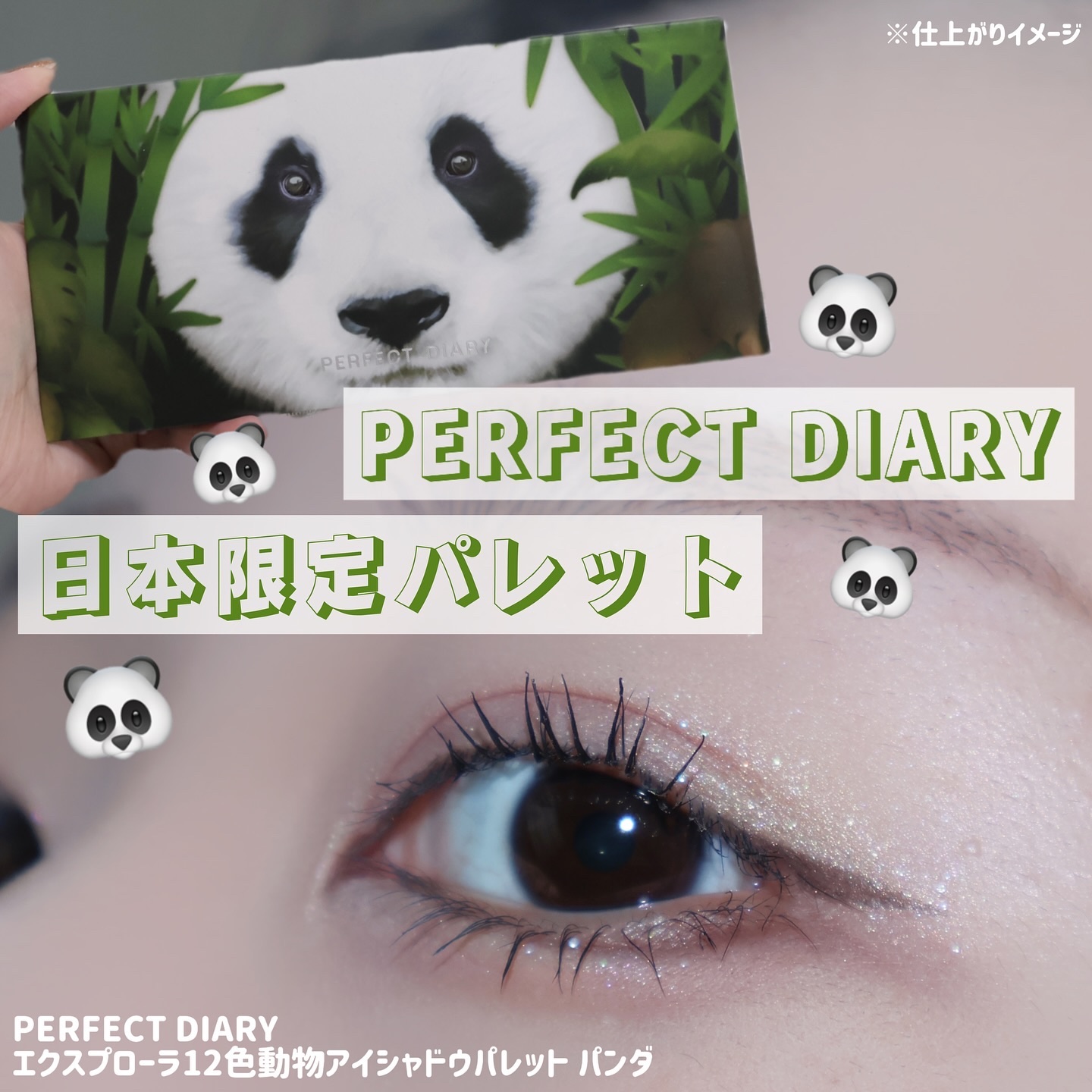 エクスプローラ12色 動物アイシャドウパレット/PERFECT DIARY/アイシャドウパレットを使ったクチコミ（1枚目）