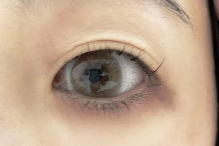 ラッシュアディクト アイラッシュコンディショニングセラム/soaddicted/まつげ美容液を使ったクチコミ(2枚目)