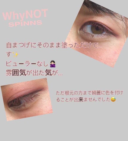 WHY NOT SPINNS マスカラ ボルドー/DAISO/マスカラを使ったクチコミ(1枚目)