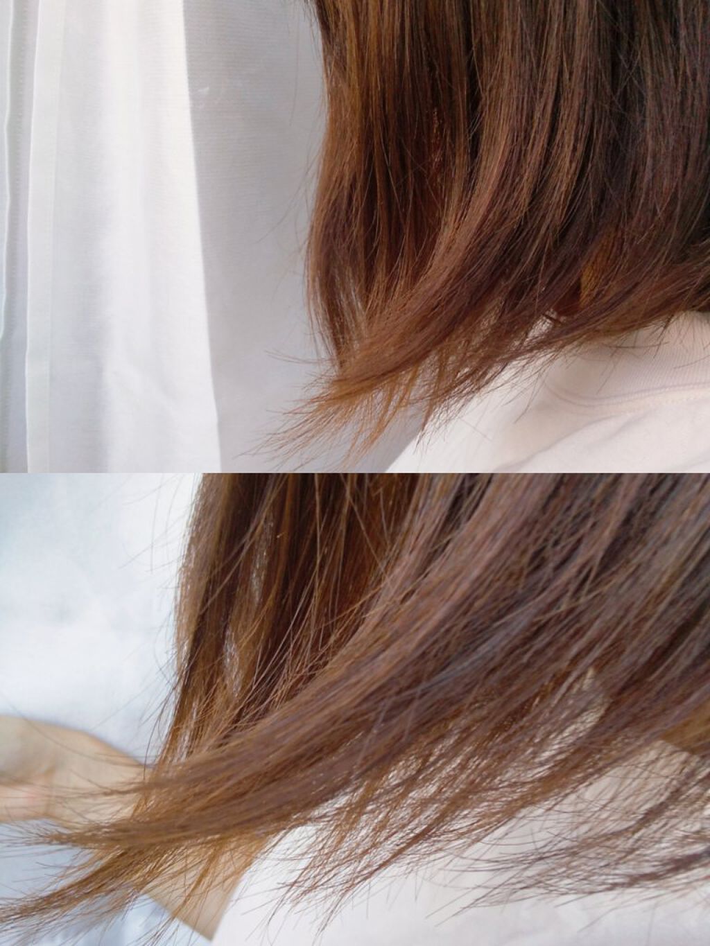 THE BEAUTY 髪のキメ美容シャンプー／コンディショナー＜モイストリペア＞	/エッセンシャル/市販シャンプーを使ったクチコミ（2枚目）