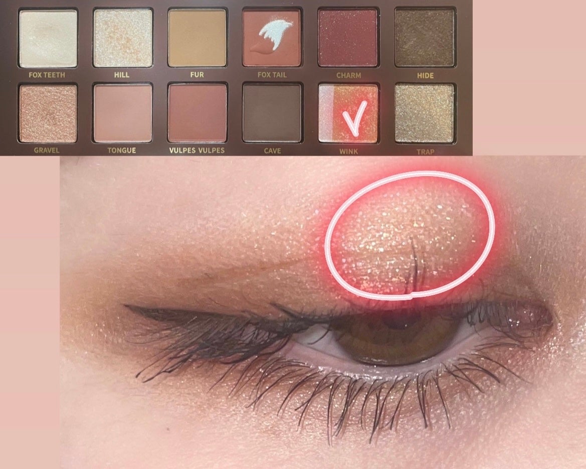 エクスプローラ12色 動物アイシャドウパレット/PERFECT DIARY/アイシャドウパレットを使ったクチコミ(7枚目)