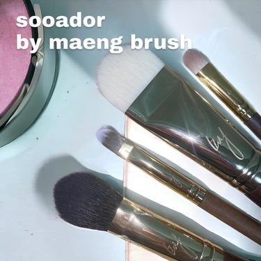 SOOADOR BY MAENG # 25 Lip Brush/SOOA DOR/メイクブラシを使ったクチコミ（1枚目）