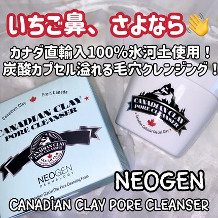 カナディアンクレイ ポア クレンザー/NEOGEN/洗い流すパック・マスクを使ったクチコミ(1枚目)