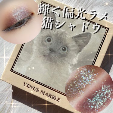 Venus Marble アイシャドウキャットシリーズ シャム猫/Venus Marble/アイシャドウパレットを使ったクチコミ（1枚目）