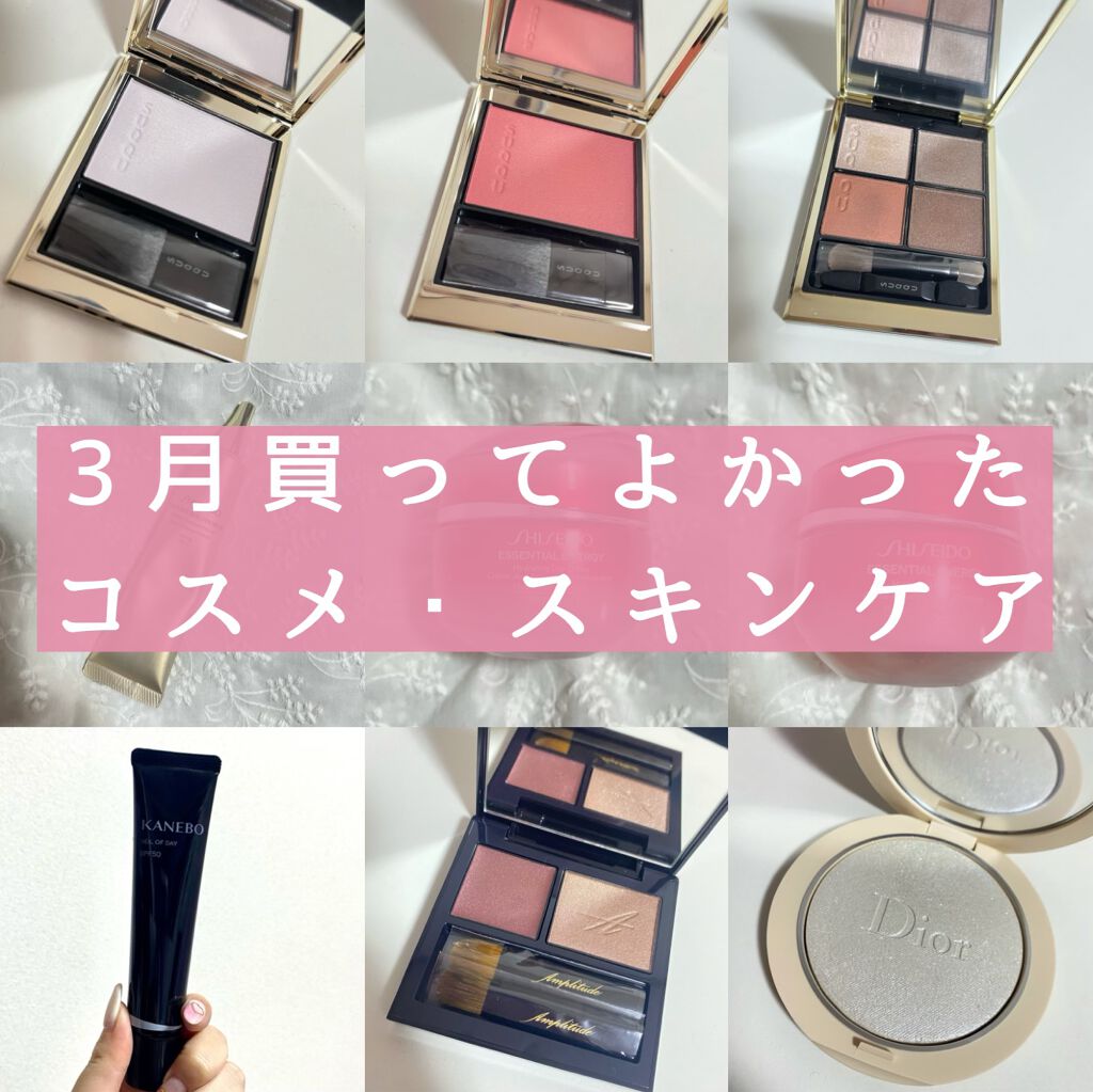 コンスピキュアス ダブルアイズ/Amplitude/アイシャドウパレットを使ったクチコミ(1枚目)