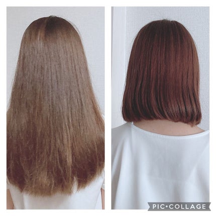 マシュマロフィニッシュパウダー ~Abloom~/キャンメイク/プレストパウダーを使ったクチコミ(6枚目)