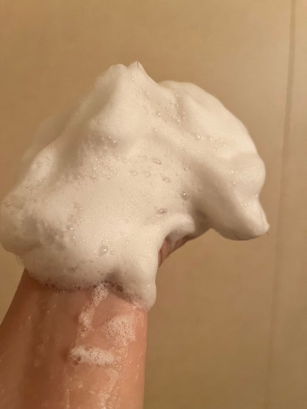 SILK THE RICH シャンプー/トリートメント/SILK THE RICH/市販シャンプーを使ったクチコミ(2枚目)