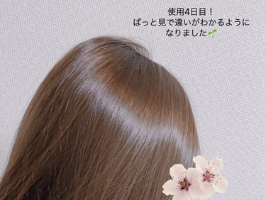 うるうるしたい日のトリートメント/ロレッタ/洗い流すヘアトリートメントを使ったクチコミ（2枚目）