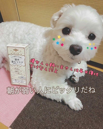 ミルキースキンマスク/MAJOLICA MAJORCA/化粧下地を使ったクチコミ(1枚目)