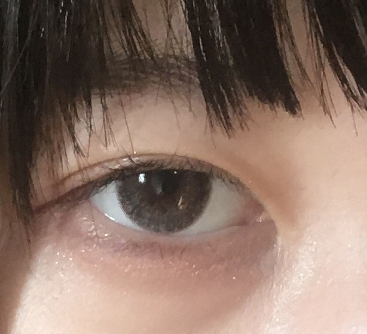 エバーカラーワンデー シルキートパーズ/エバーカラー/ワンデー（１DAY）カラコンを使ったクチコミ（1枚目）