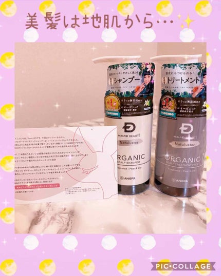 スカルプD ボーテ ナチュラスター スカルプシャンプー/トリートメントパック/アンファー(スカルプD)/シャンプー・コンディショナーを使ったクチコミ(1枚目)