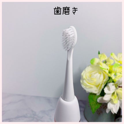 ORALUMINUS/mous./歯ブラシを使ったクチコミ(2枚目)