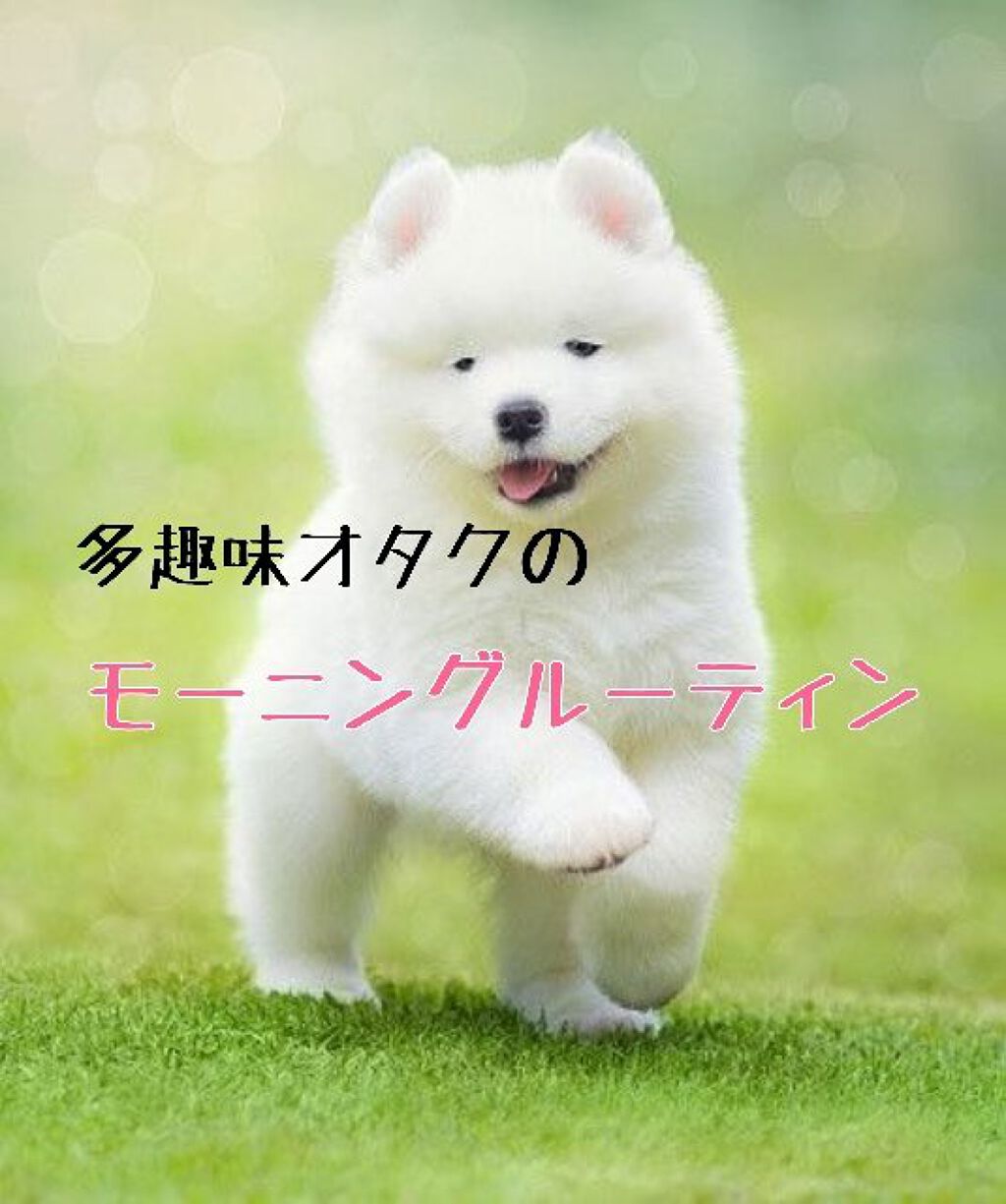 オードムーゲ 薬用ローション（ふきとり化粧水）/オードムーゲ/拭き取り化粧水を使ったクチコミ（1枚目）