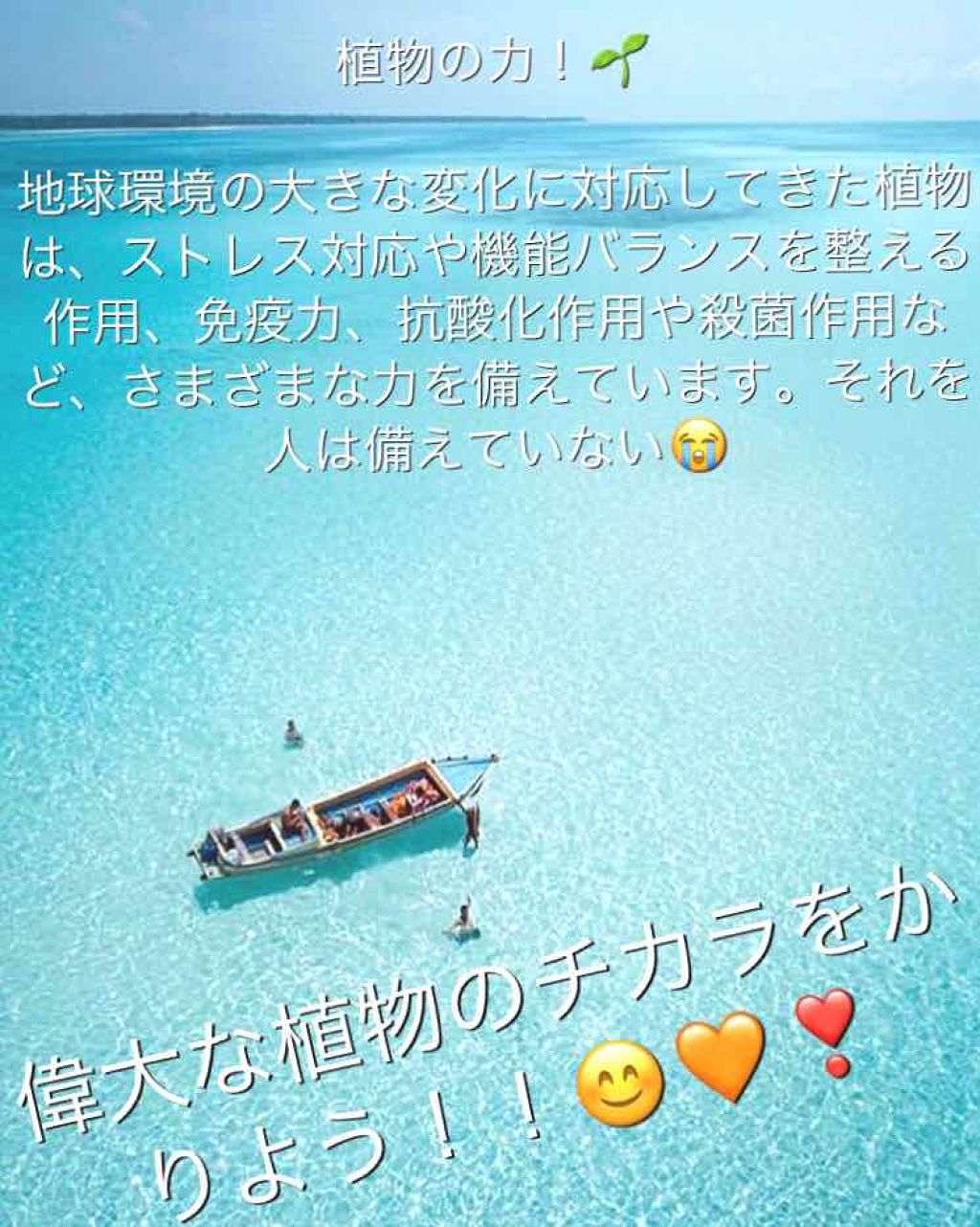 グラースローズの香り/シャンプー＆トリートメント/ダイアン/市販シャンプーを使ったクチコミ（3枚目）