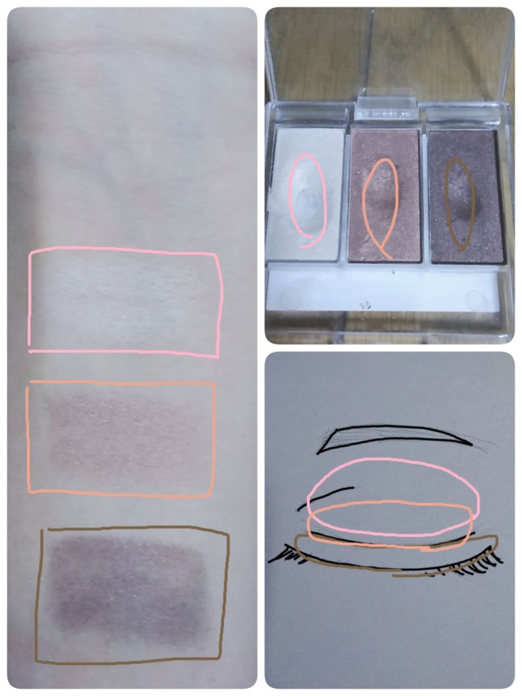 カンコレアイシャドウ/DAISO/アイシャドウパレットを使ったクチコミ（3枚目）