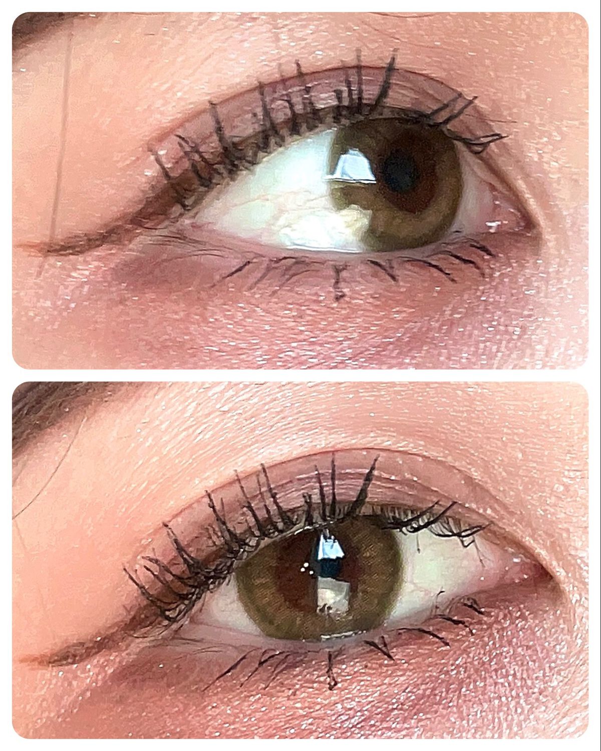 シャドーカスタマイズ/MAJOLICA MAJORCA/単色アイシャドウを使ったクチコミ(6枚目)