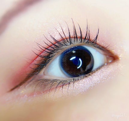 アニマルアイシャドウ(4シェード)/ZEESEA/アイシャドウパレットを使ったクチコミ(4枚目)