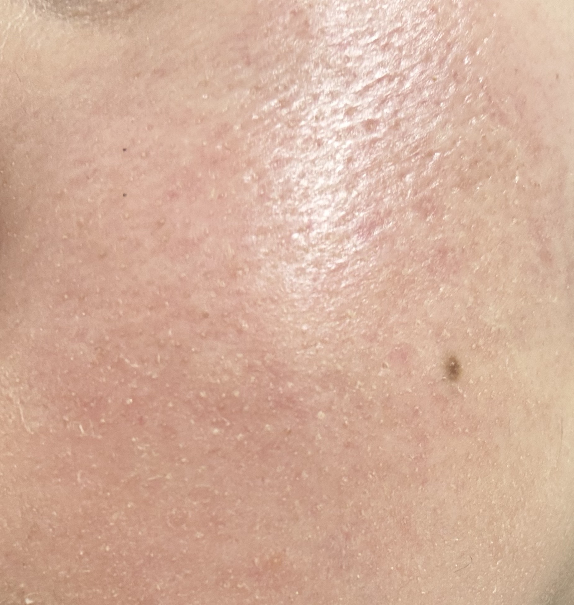 3番 ノーファンデ陶器肌トーンアップクリーム/numbuzin/化粧下地を使ったクチコミ（2枚目）