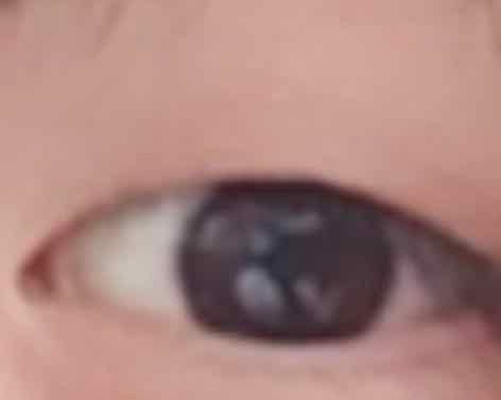 アイラッシュフィクサーEX 552/D-UP/つけまつげを使ったクチコミ（1枚目）