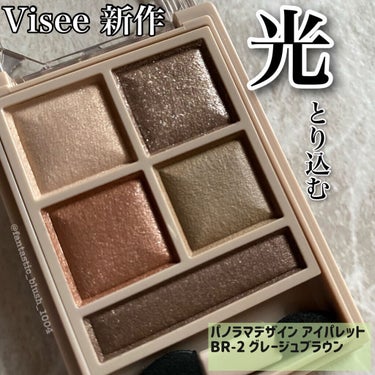 パノラマデザイン アイパレット/Visée/アイシャドウパレットを使ったクチコミ（1枚目）