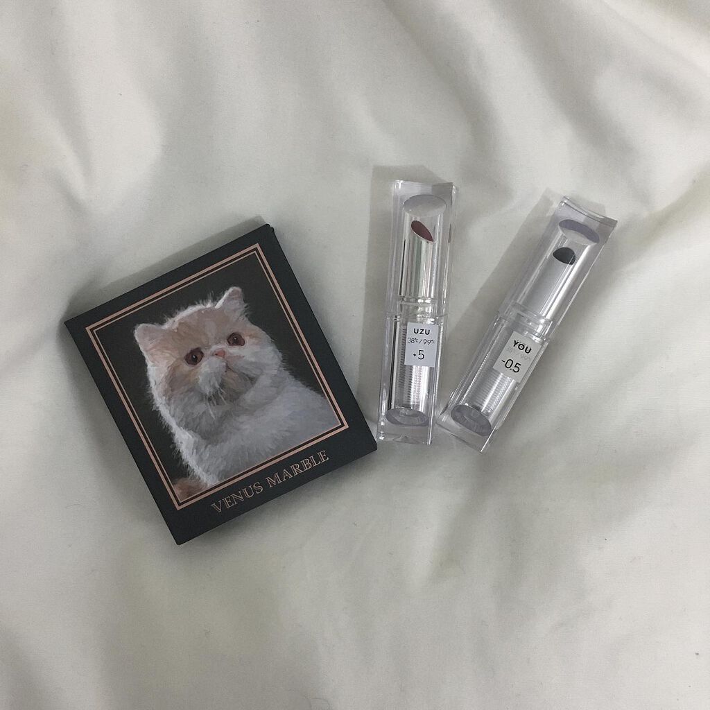 38℃/99℉ LIPSTICK  ＜YOU＞ -0.5  SHEER-GRAY/UZU BY FLOWFUSHI/口紅を使ったクチコミ（1枚目）