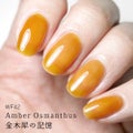WF42 アンバーオスマンサス(Amber Osmanthus)