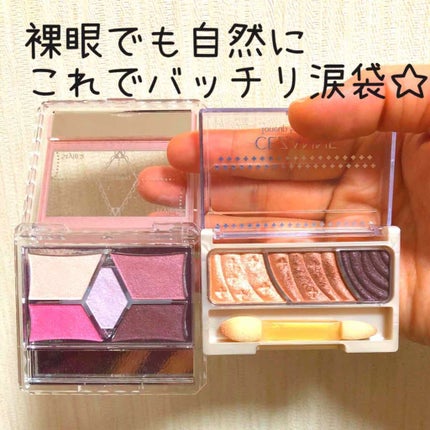 【旧品】パーフェクトスタイリストアイズ/キャンメイク/アイシャドウパレットを使ったクチコミ(1枚目)