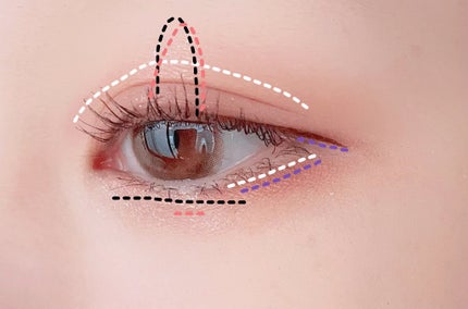 シャドーフラッシュ /MAJOLICA MAJORCA/アイシャドウパレットを使ったクチコミ(4枚目)