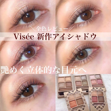 パノラマデザイン アイパレット/Visée/アイシャドウパレットを使ったクチコミ（1枚目）