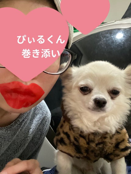 うるりんリップパック/CHOOSY/リップマスクを使ったクチコミ(4枚目)