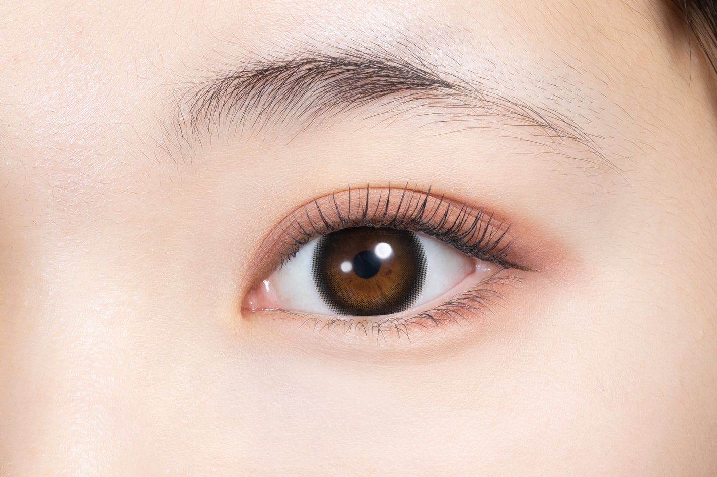 melady 1day レディブラック