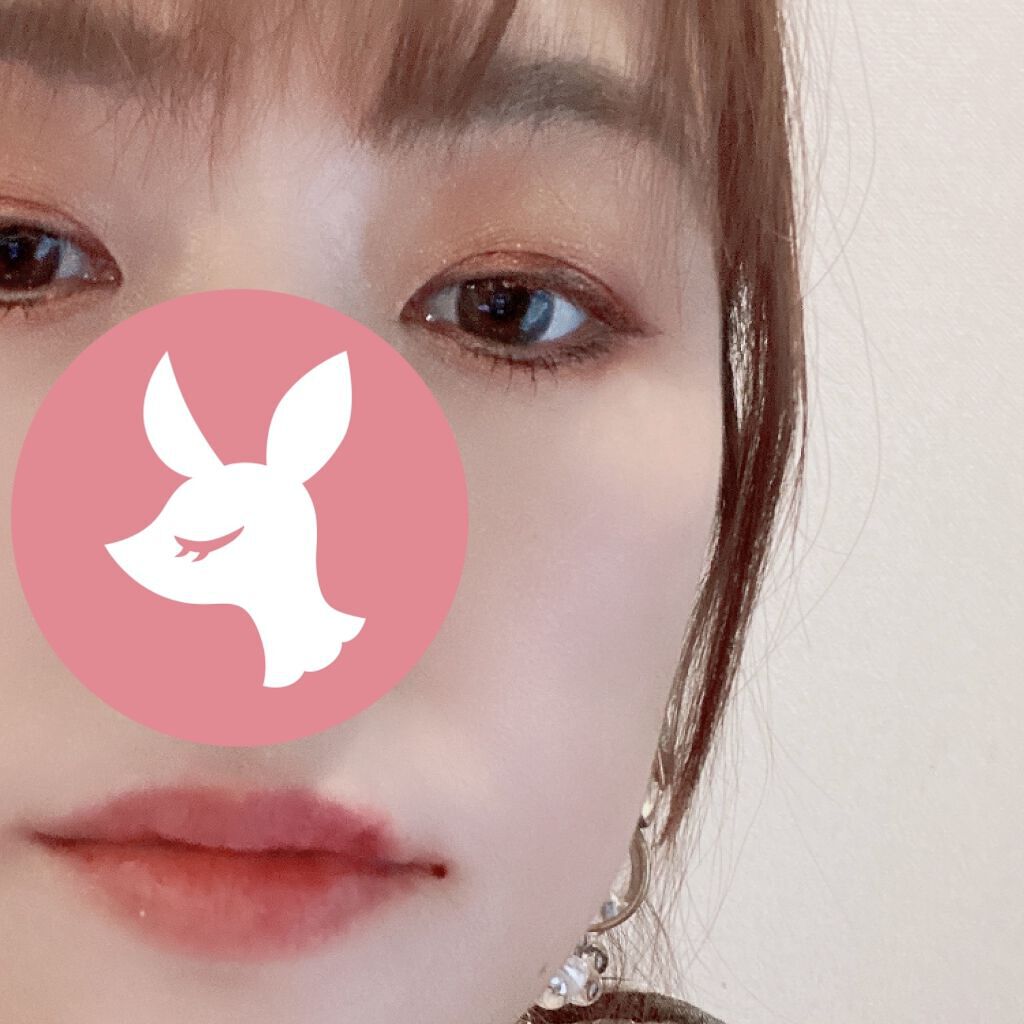 ノーズ＆アイブロウパウダー/CEZANNE/パウダーアイブロウを使ったクチコミ（2枚目）