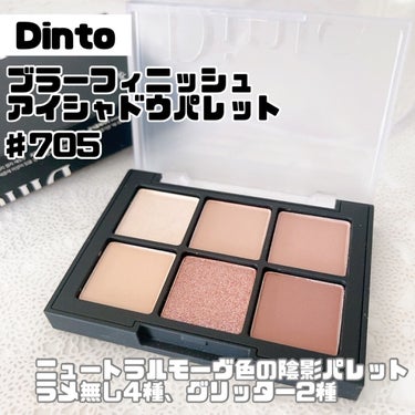 ブラーフィニシュシャドウパレット/Dinto/アイシャドウパレットを使ったクチコミ（2枚目）