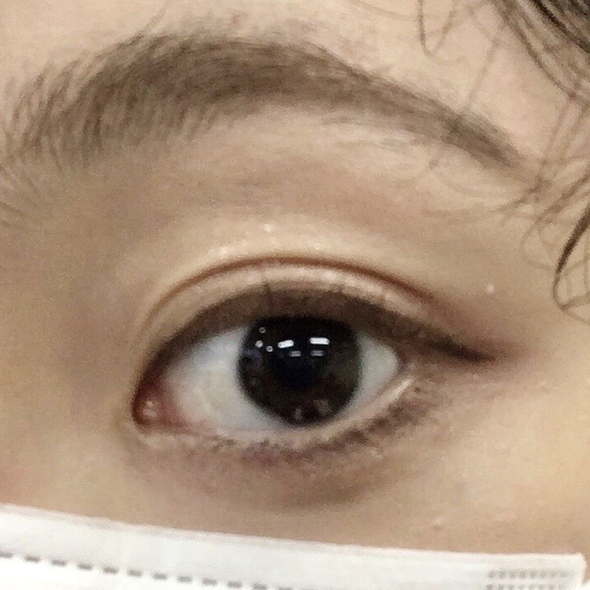 カラーリングアイブロウ/ヘビーローテーション/眉マスカラを使ったクチコミ（1枚目）